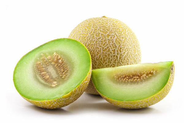 Rock Melon