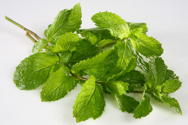 Spinach Mint Leave